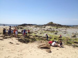 Ile Batz-11